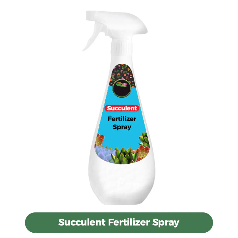 300ml Succulent Fertilizer Spray - Image 10