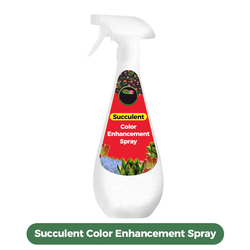 300ml Succulent Fertilizer Spray - Image 11