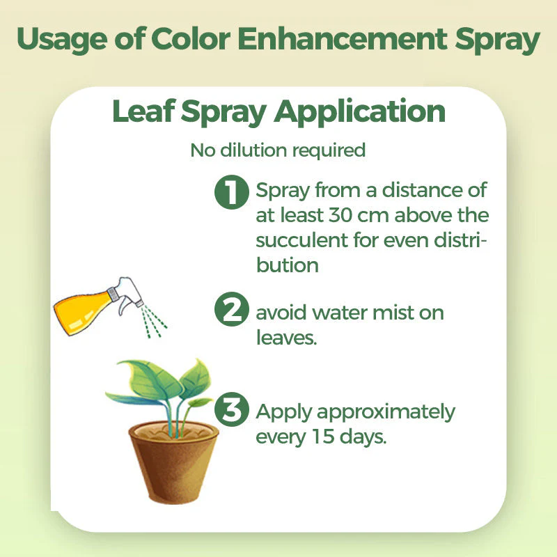 300ml Succulent Fertilizer Spray - Image 6