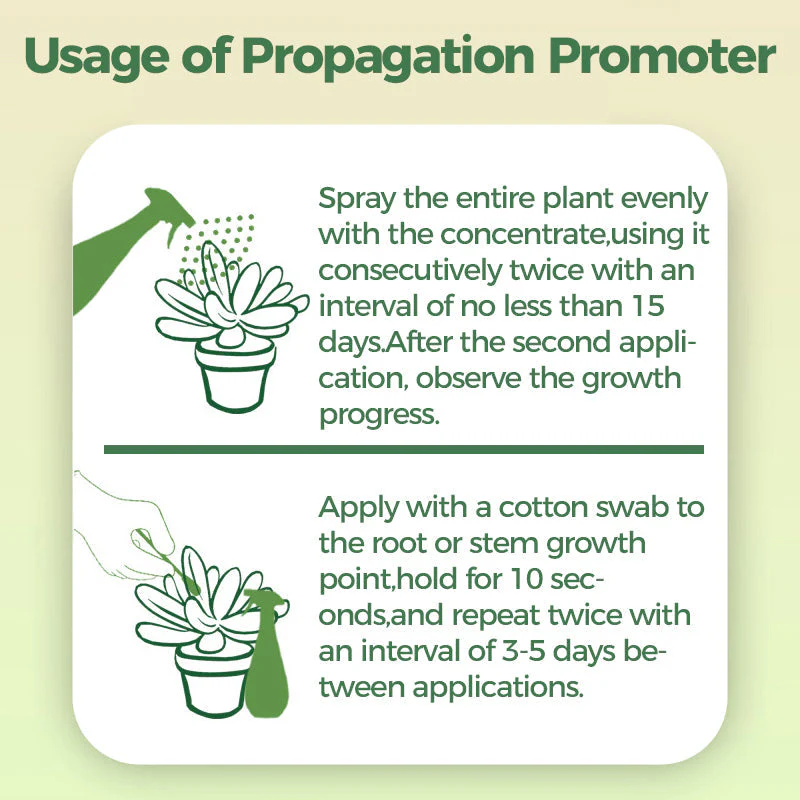 300ml Succulent Fertilizer Spray - Image 7