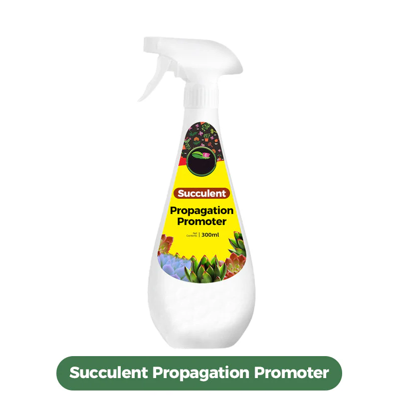 300ml Succulent Fertilizer Spray - Image 9