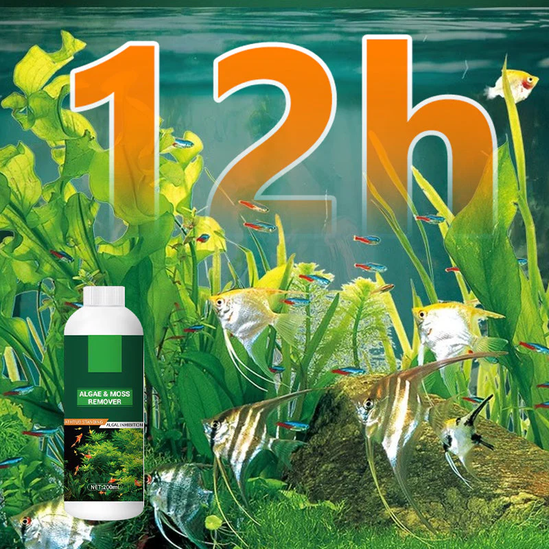 Algae & Moss Remover for Fish Tank - Safe Water Purification - Image 6
