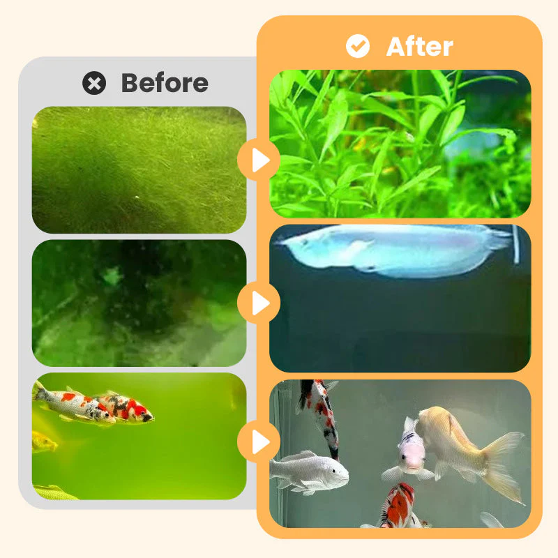 Algae & Moss Remover for Fish Tank - Safe Water Purification - Image 8