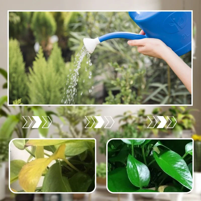 Concentrated Nutrient Solution for Flowers and Plants - Image 3