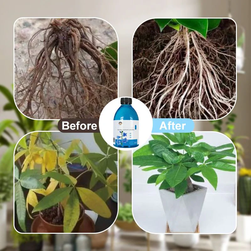 Concentrated Nutrient Solution for Flowers and Plants - Image 4