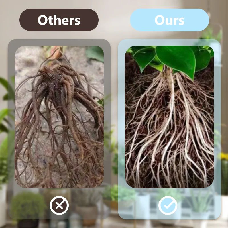 Concentrated Nutrient Solution for Flowers and Plants - Image 9