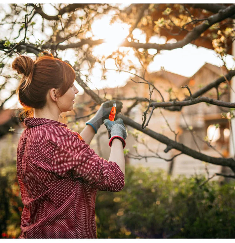 Professional Garden Pruner Picker Shears - Image 6