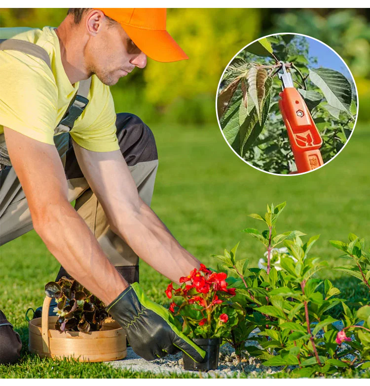 Professional Garden Pruner Picker Shears - Image 7