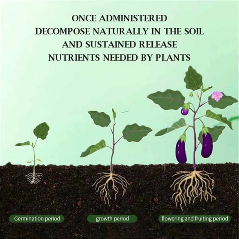 All-Purpose Slow-Release Tablet Fertilizer for Plants - Image 5