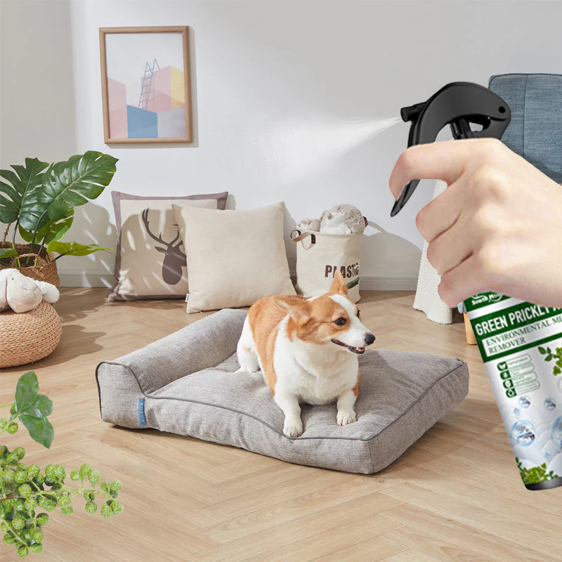 ⌛Limited Sale 50% OFF🔥Powerful Mite Remover Spray - Image 10