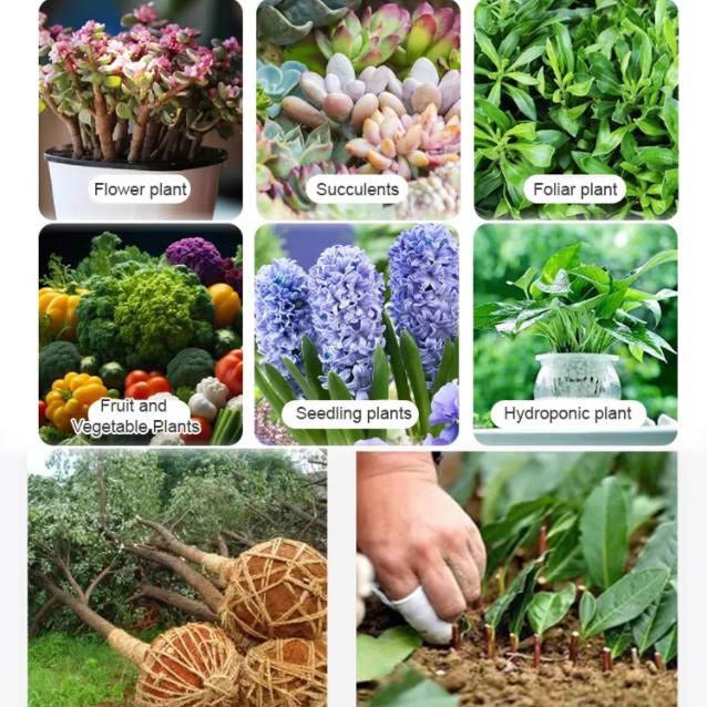 Strong Rooting Powder Microbial Fertilizer - Image 10