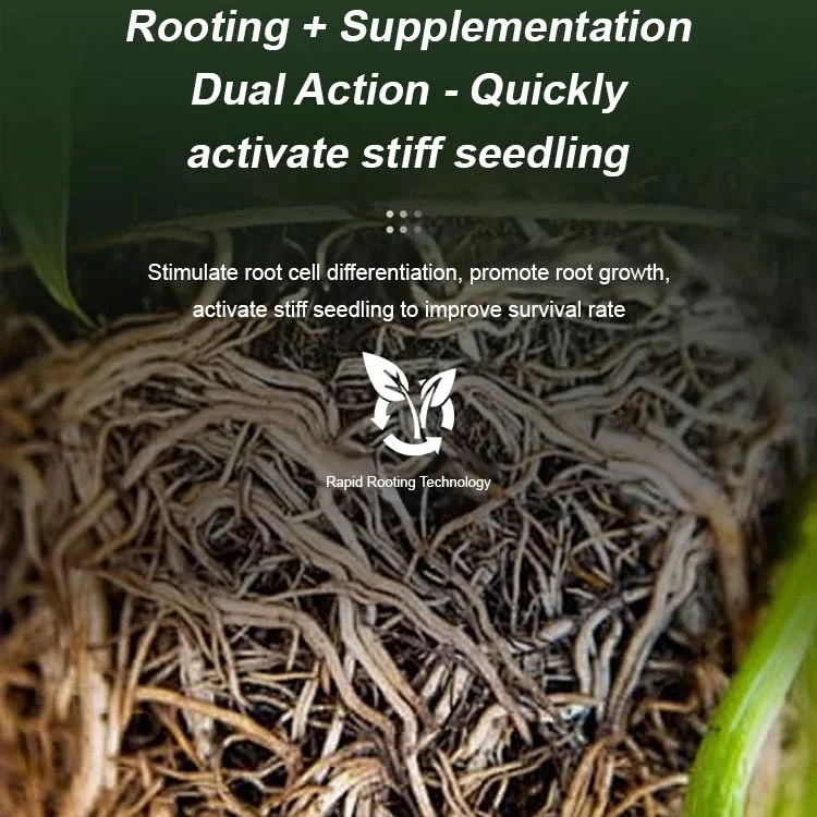 Strong Rooting Powder Microbial Fertilizer - Image 11