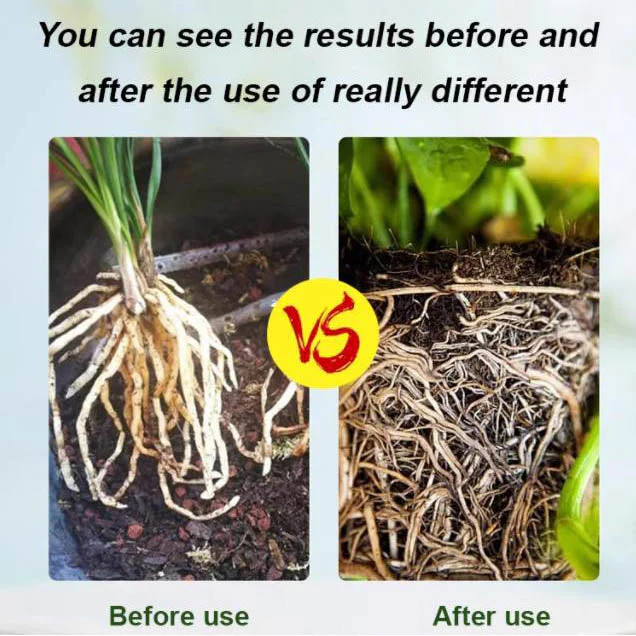 Strong Rooting Powder Microbial Fertilizer - Image 5