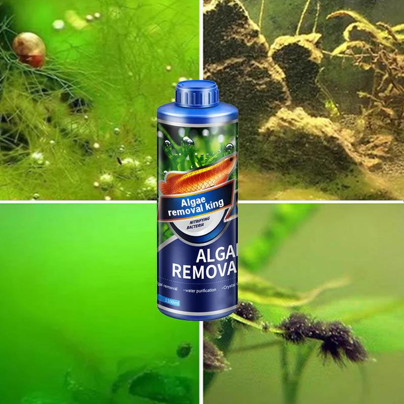【Algae King】Crazy Aquatic Weed Algae Remover - Image 5